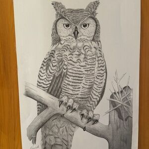 Ernie Reimers original signed art pencil drawing illustration horned owl 13x19